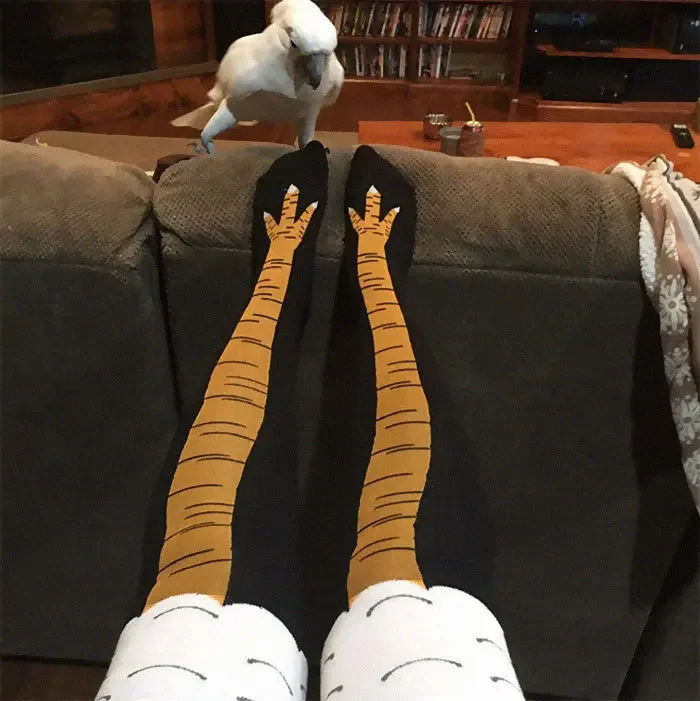 女性のための鶏の爪の靴下,膝までの靴下,暖かい太もも,鶏の足 - Funny Chicken Leg Socks のレビューと価格